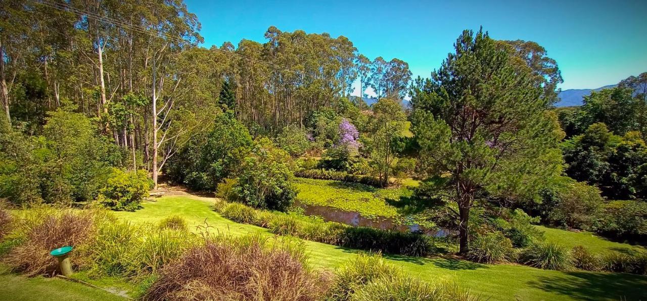 Lilypad Luxury Cabins Bellingen Dış mekan fotoğraf