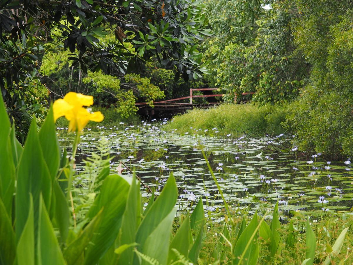 Lilypad Luxury Cabins Bellingen Dış mekan fotoğraf